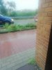 IMG_20200703_175600.jpg