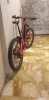 20200711_185329.jpg