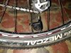IMG_20200713_185718.jpg