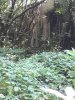 20200712_104152.jpg