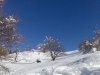 neve003.jpg