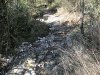 DSCN0028.jpg