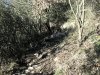 DSCN0029.jpg