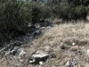 DSCN0025.jpg