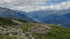 IMG_20200719_132352.jpg