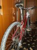 IMG-20200809-WA0007.jpg