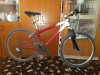 IMG-20200809-WA0004.jpg
