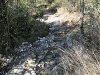 DSCN0028.jpg