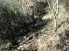 DSCN0029.jpg