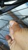 IMG_20200830_133826.jpg