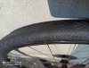 IMG_20200914_153915.jpg