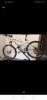 bici1.jpeg