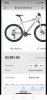 bici2.jpeg
