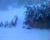 img006.jpg