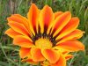DSCN1781.jpg
