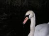 DSCN2182.jpg