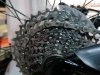 IMG_20201018_151049.jpg