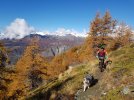 20201024_113838.jpg