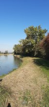 20201028_125202.jpg