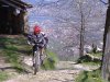 DSCF2212.jpg