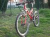 DSCN8148.jpg