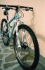 Gary Fisher Paragon 2008003.jpg