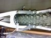 04042008151.jpg