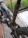 IMG_20201114_150349.jpg