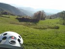 IMG_20201114_142356.jpg