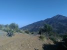 IMG_20201115_103223.jpg
