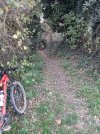 20201114_100326.jpg