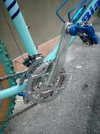 IMG_20201119_124217.jpg