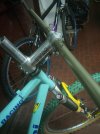 IMG_20201110_184527.jpg