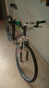 IMG_20201111_140012.jpg