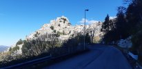 20201121_101516.jpg
