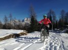 IMG_20201121_123053.jpg