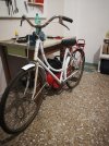 IMG-20201118-WA0004.jpg