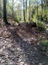IMG_20201117_114049.jpg