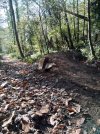 IMG_20201117_114058.jpg