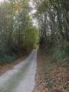 DSCF9455.JPG