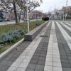 IMG20201129101045.jpg