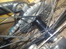 IMG_20201130_185703.jpg