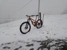 IMG_20201202_135602.jpg