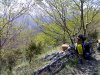 27042008799.jpg