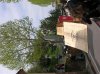 DSCN0919.jpg