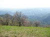 100_0435.jpg