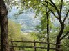 100_0438.jpg