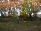 DSCF9583.JPG