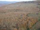 DSCF9588.JPG
