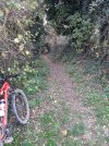 20201114_100327.jpg